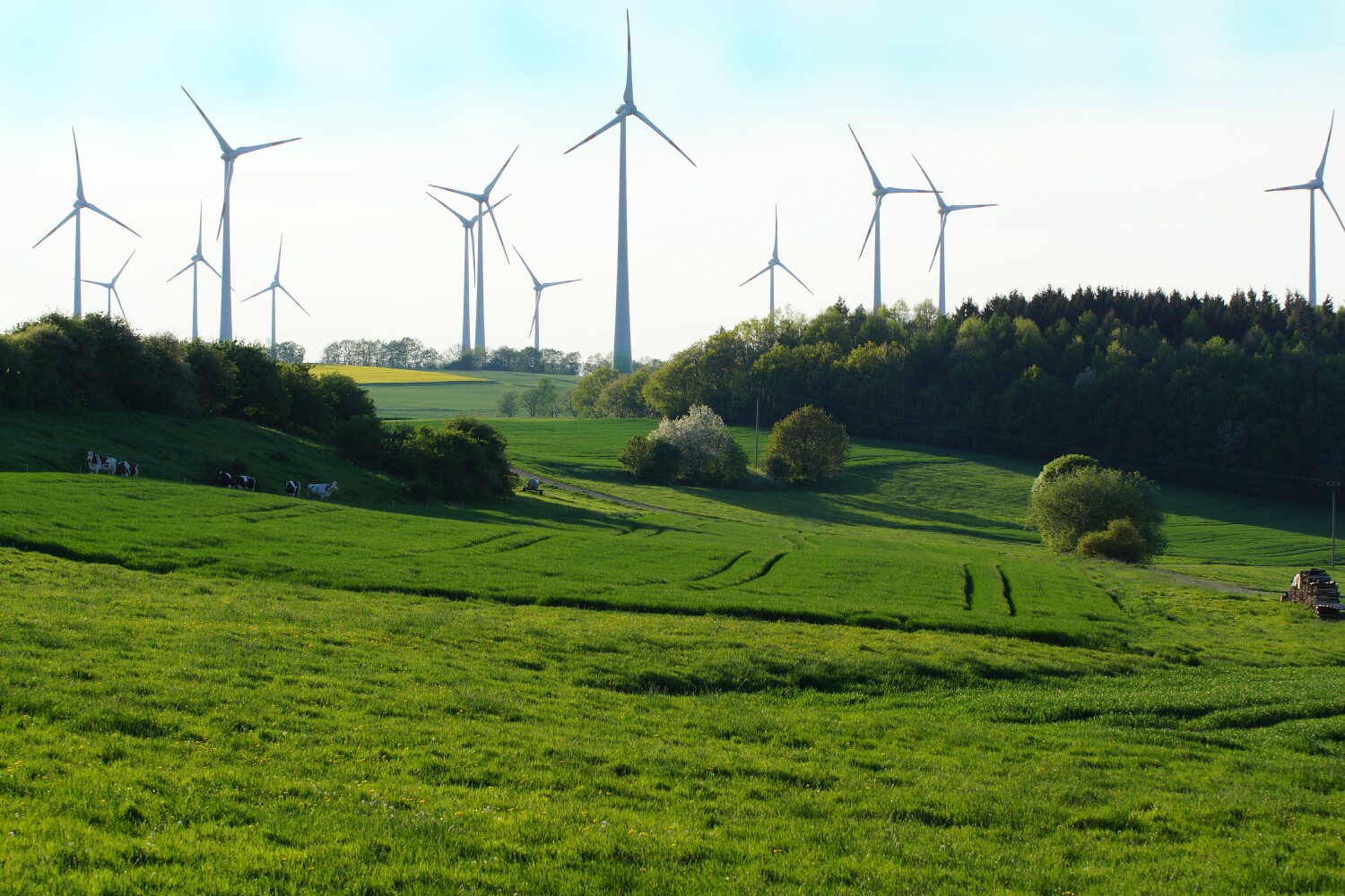 24 D HES VB VB DSC04550 2.jpg